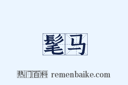 髦马是什么意思的图片